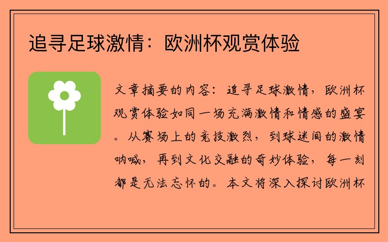 追寻足球激情：欧洲杯观赏体验