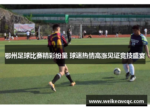 鄂州足球比赛精彩纷呈 球迷热情高涨见证竞技盛宴